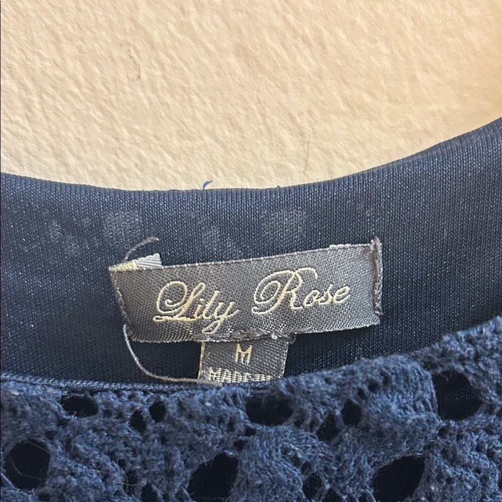 Lily Rose Navy Lace Dress - Picture 2 of 9